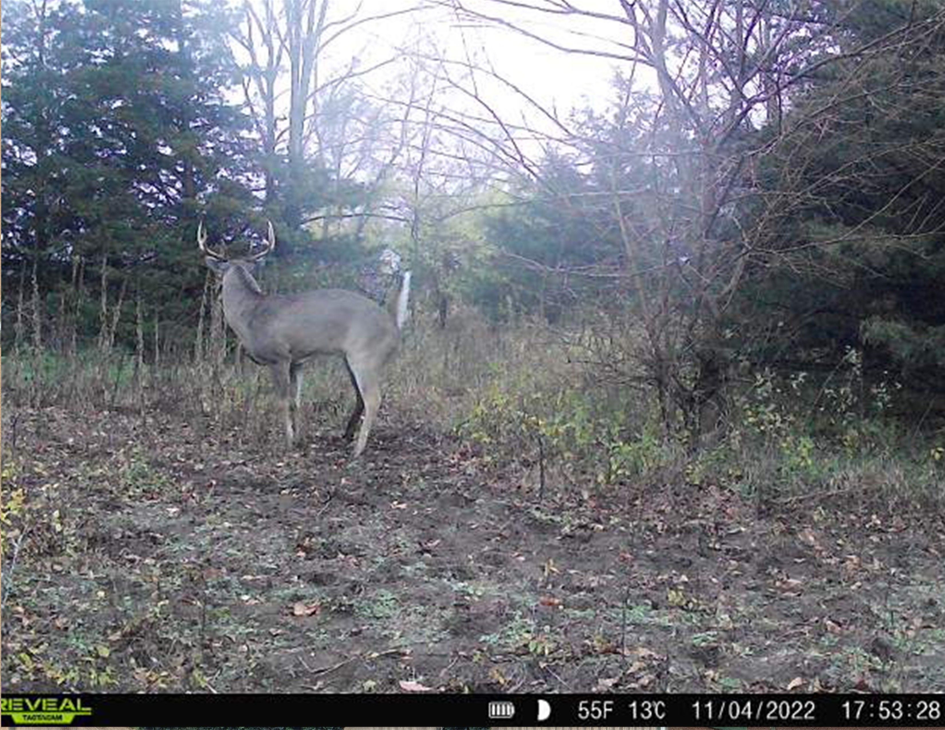 Listing Photo: Edit Ten Acre `12